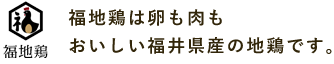 福地鶏は卵も肉もおいしい福井県産の地鶏です。